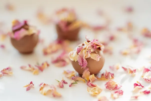 Καζίνο Σαν Πάλας Εφαρμογή Android/iOS